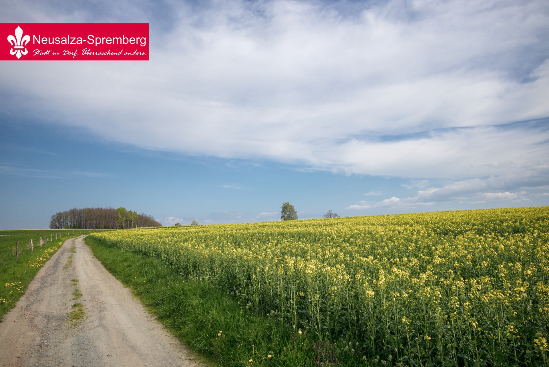 Neusalza spremberg11