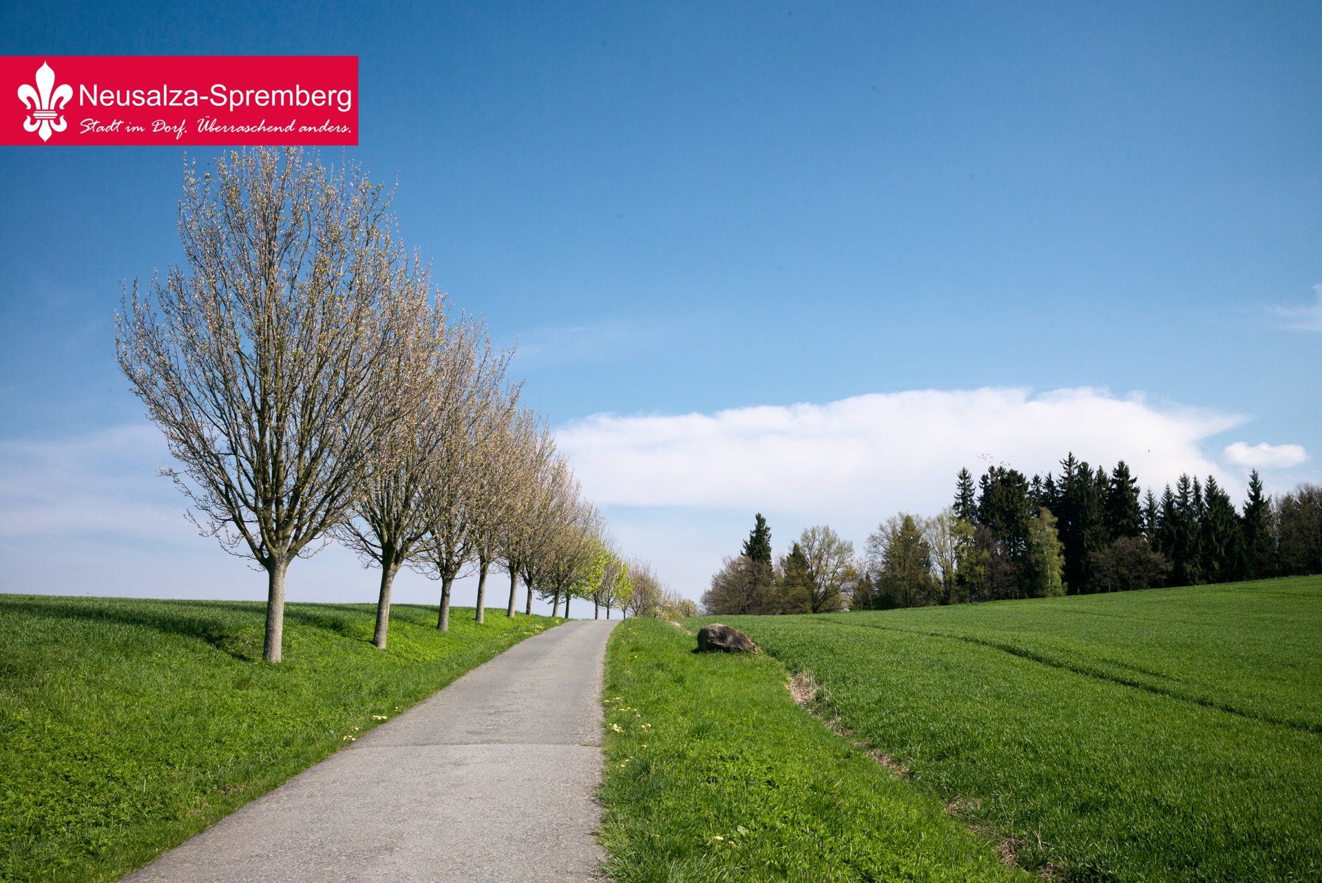 Neusalza spremberg13