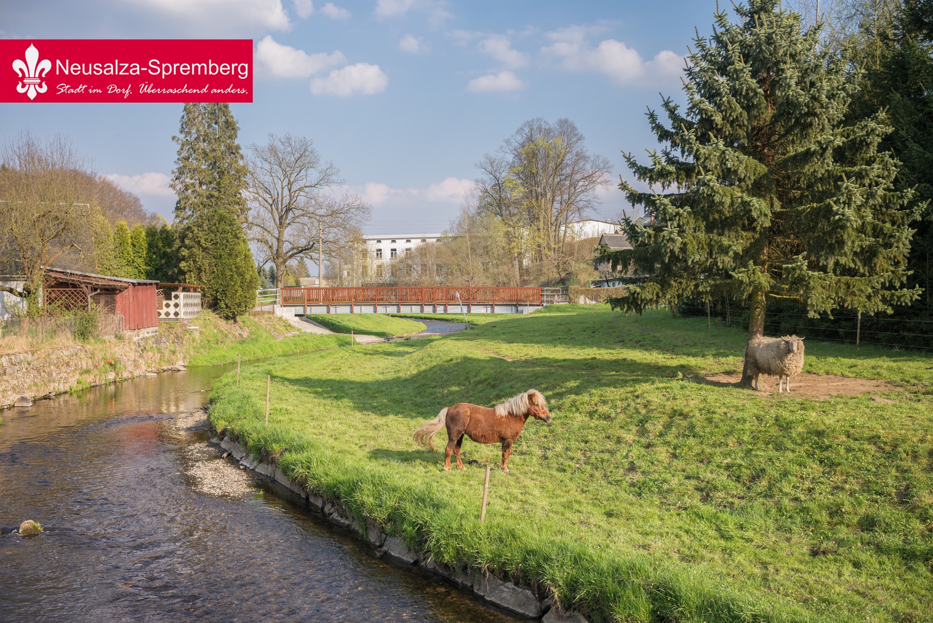Neusalza spremberg15