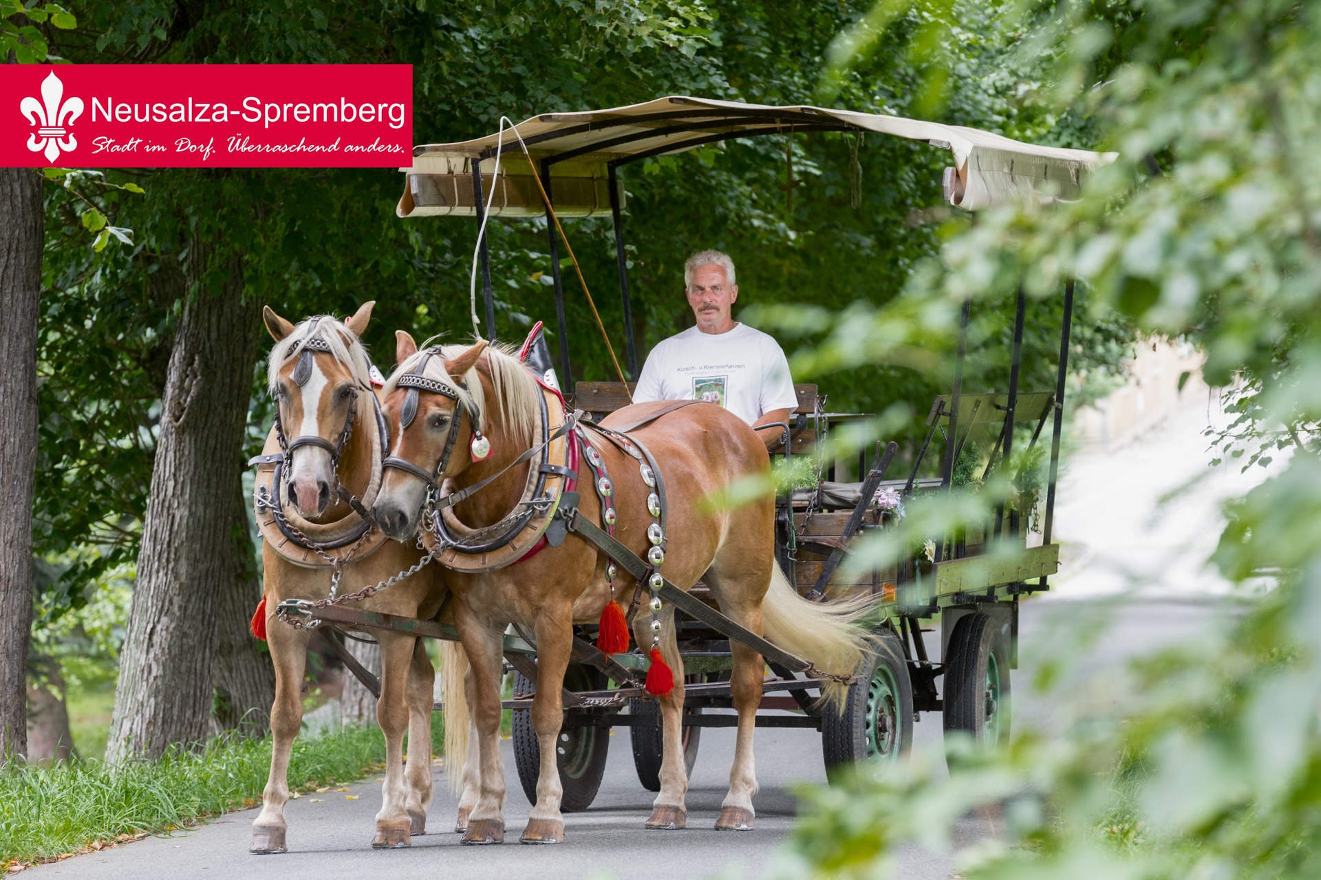 Neusalza spremberg47