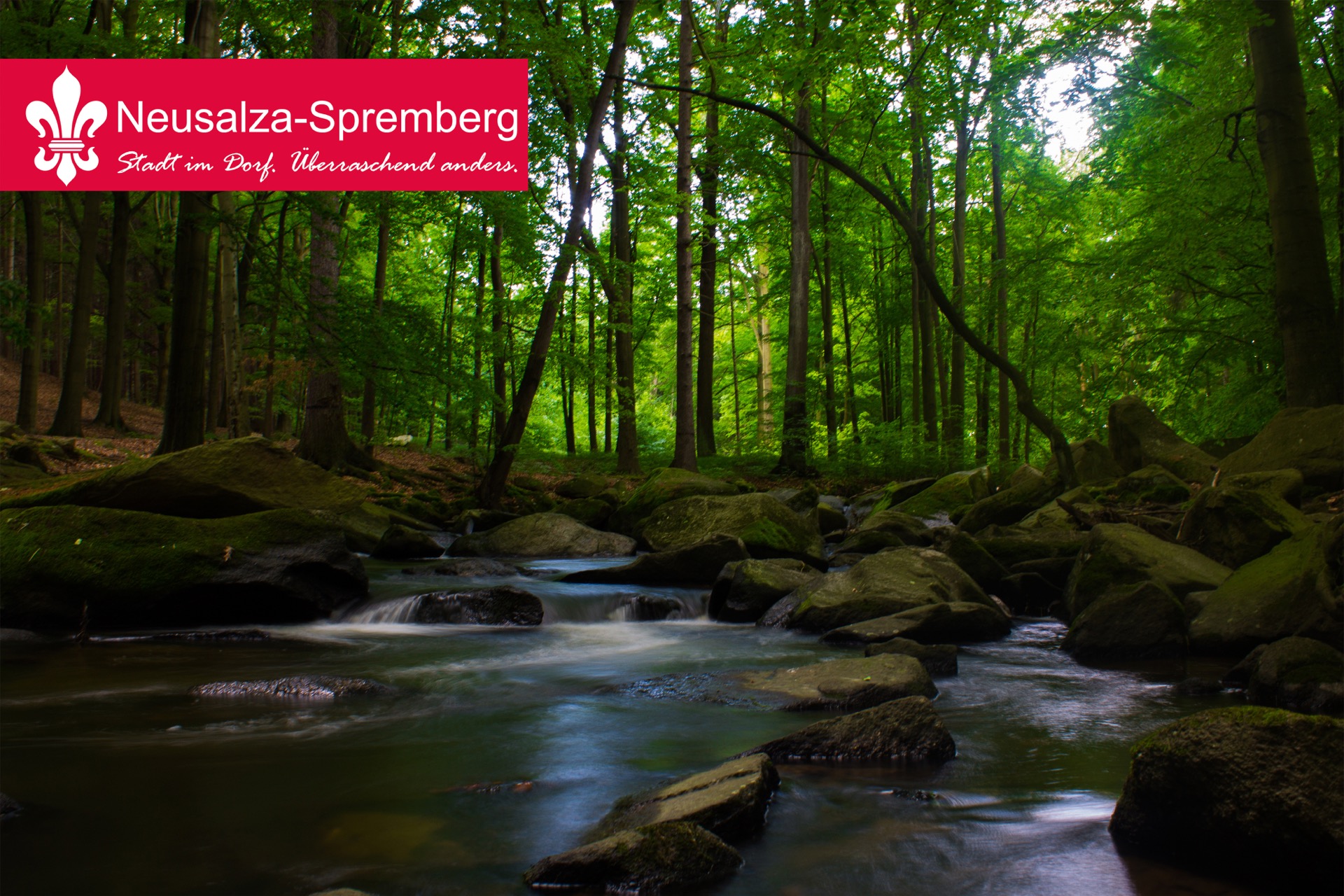 Neusalza spremberg53