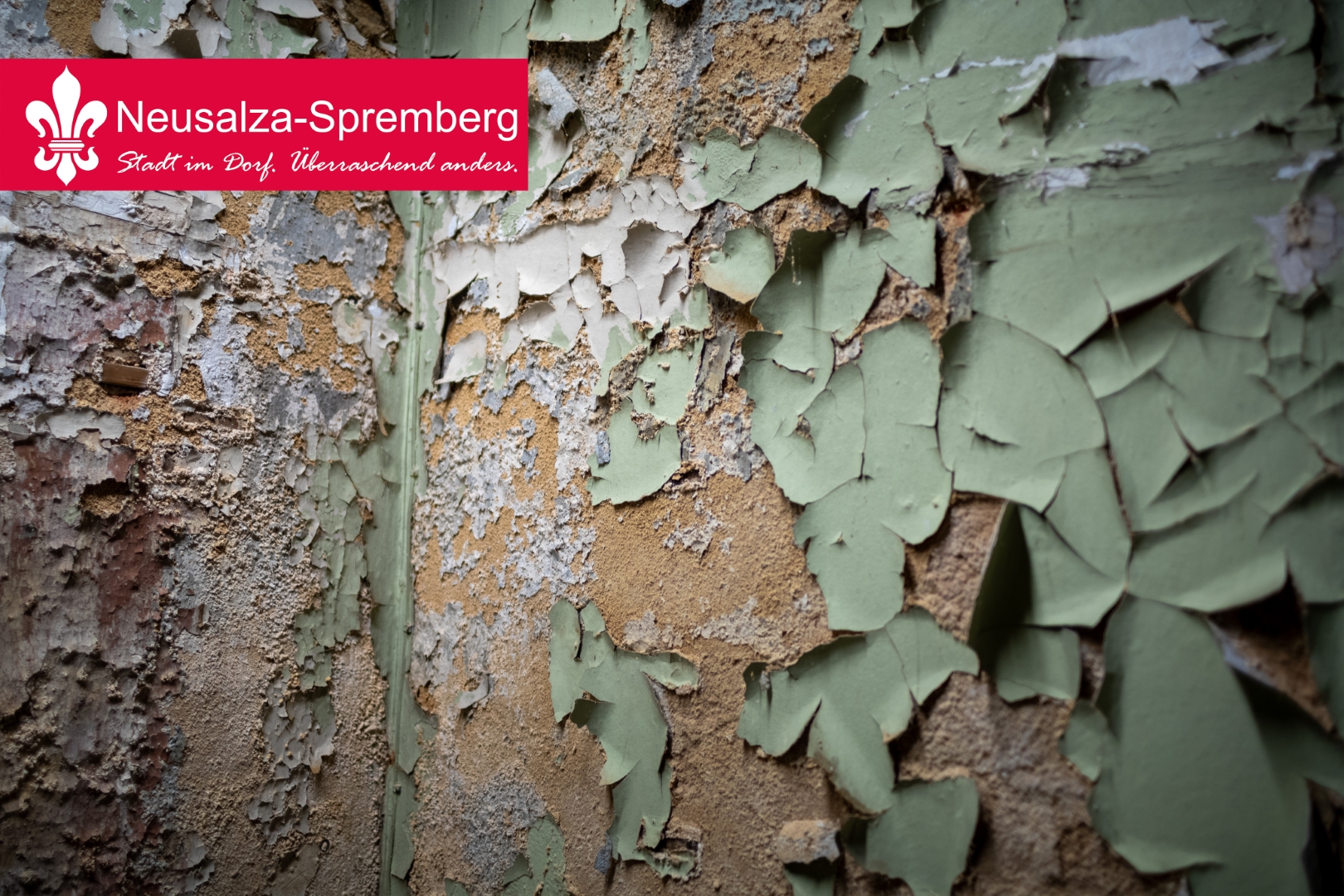 Neusalza spremberg61