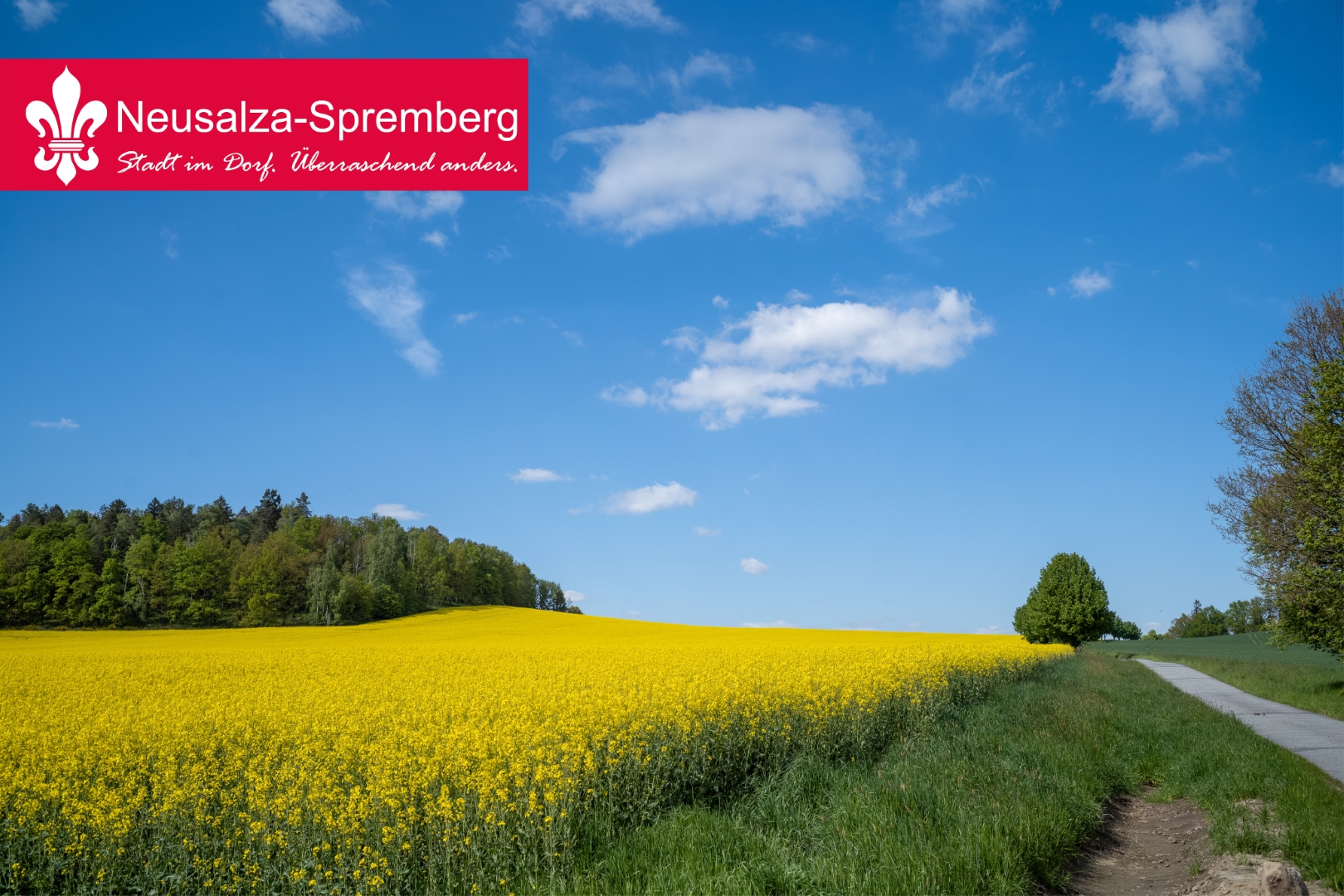 Neusalza spremberg67